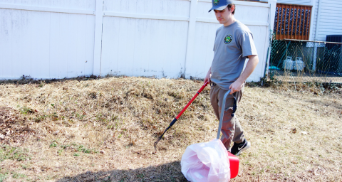 Central NJ dog poop removal